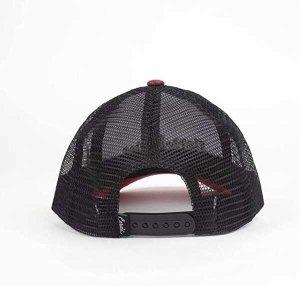 Gorra Harry Potter