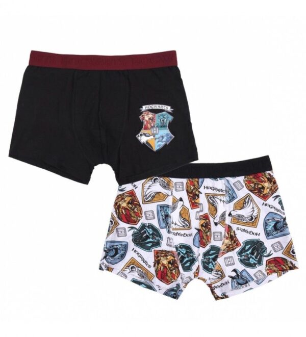 Pack de 2 Boxer Harry Potter