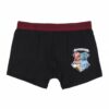Pack de 2 Boxer Harry Potter