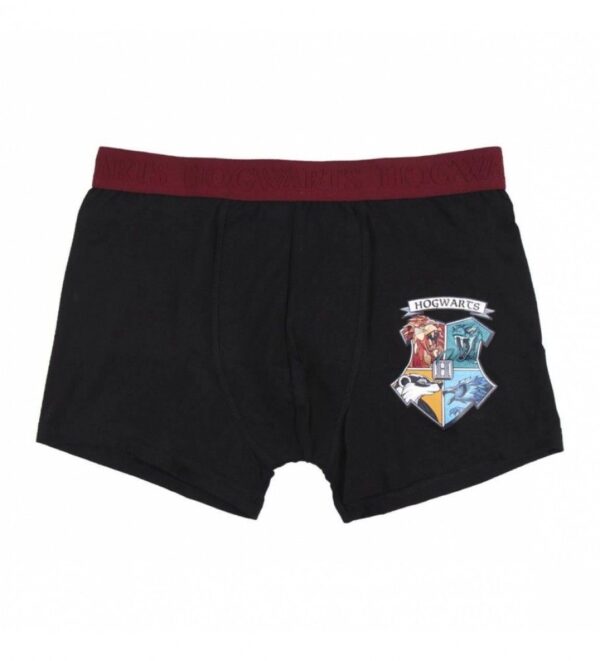 Pack de 2 Boxer Harry Potter