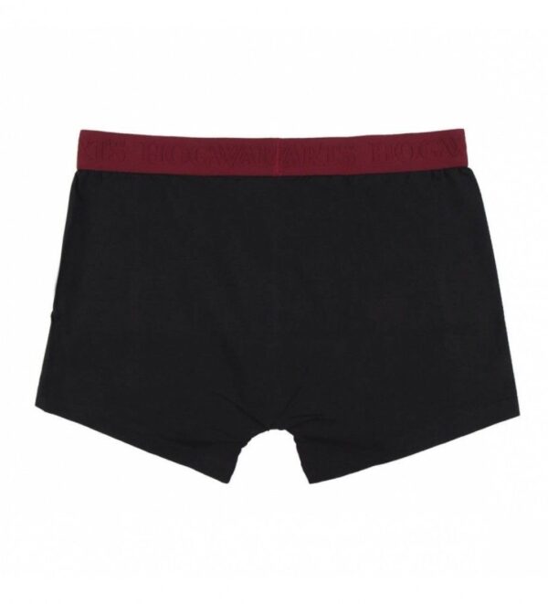 Pack de 2 Boxer Harry Potter