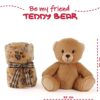 71ciHLX+TmL._AC_SL1500_ Peluche y Manta Oso Pardo - Perletti