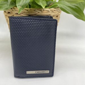 Cartera Caramelo azul