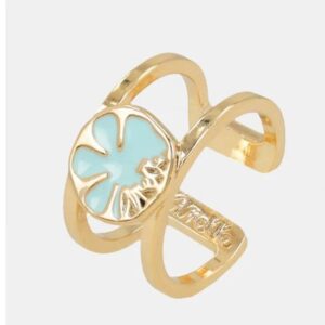 anillo-anekke-ancho Anillo Doble con turquesa - Anekke